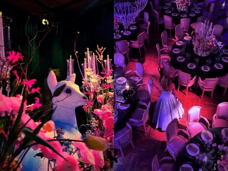 Платье принцессы, сказочный лес, карпаччо из красной креветки и щечки теленка: как Яна Рудковская отметила 50-летие