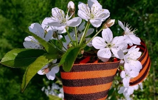 Короткие рабочие недели в мае: стало известно, как россияне будут отдыхать на майские праздники в 2025 году