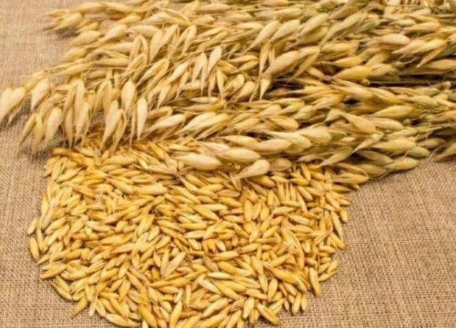 Что можно и нельзя делать в народный праздник Евсея Овсы отсея 7 мая 2025 года