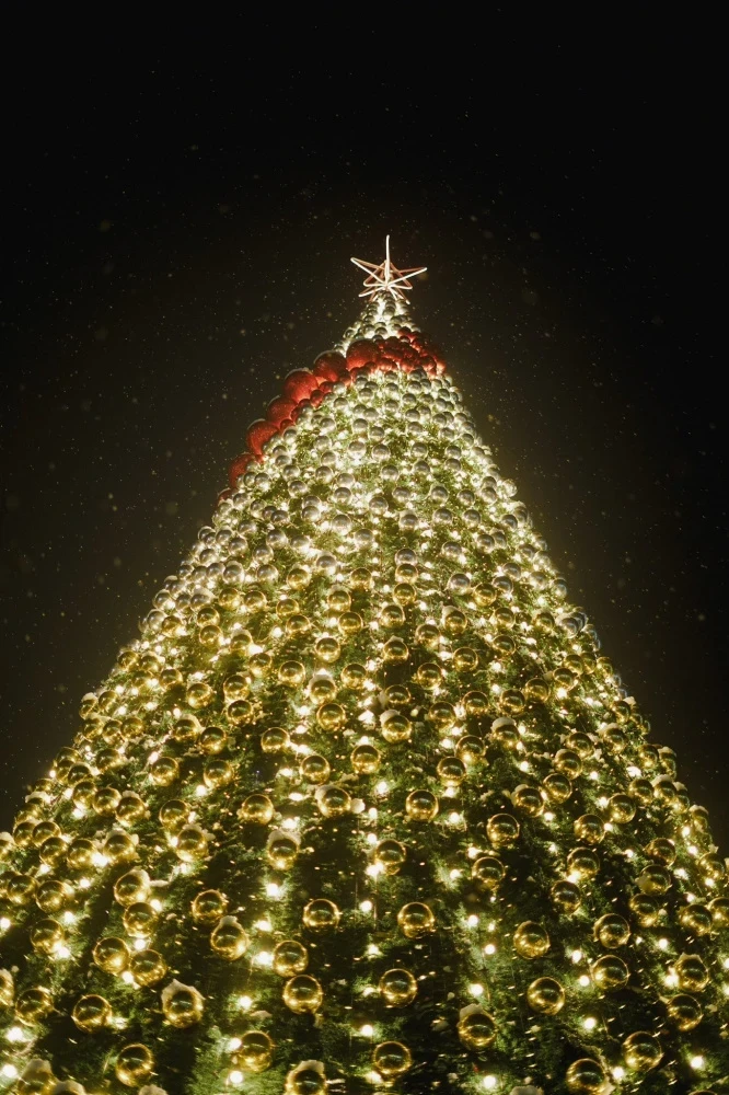 Какие новогодние елки установлены в областях Кыргызстана? Смотрим