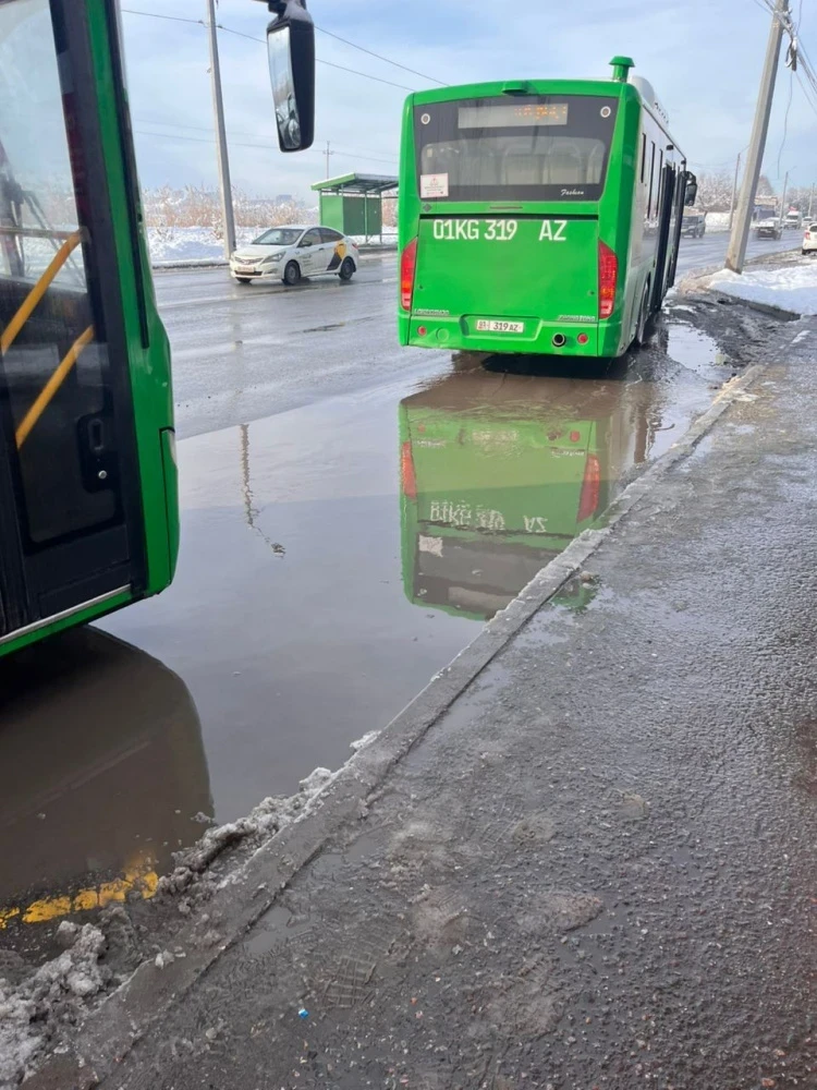 "Лужи у остановок". Горожане жалуются, что не могут нормально выйти из автобуса