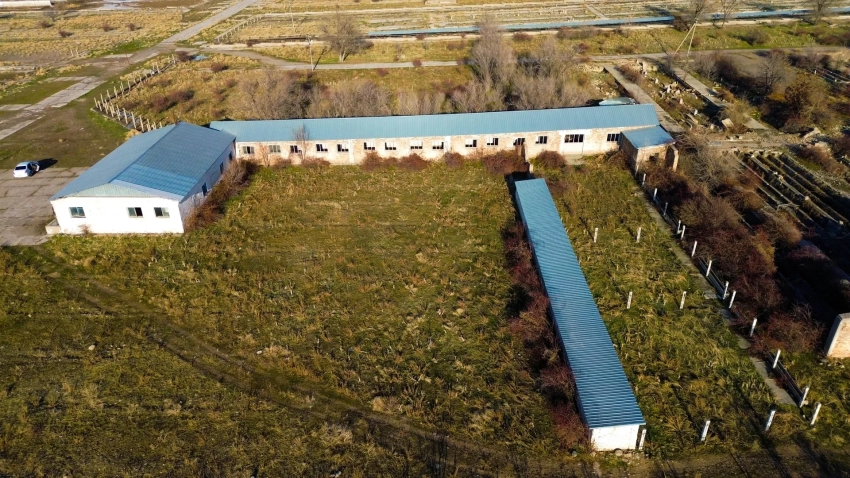 Откормочный комплекс в Чуйской области стоимостью 1,45 млрд сомов выставлен на торги