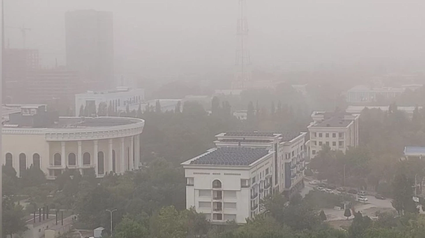 Для борьбы с пробками в Ташкенте запустят интеллектуальную транспортную систему