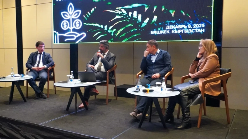 Банки Кыргызстана готовят к внедрению зеленых финансовых продуктов