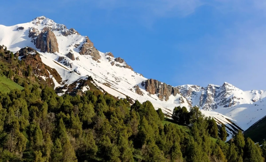 Минприроды работает над созданием природных парков «Арпа», «Алай» и «Архар»