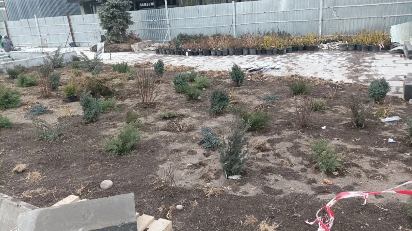 Old Bishkek: вместо тени и сосен — кусты. Горожане критикуют благоустройство