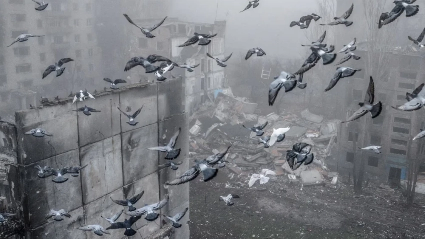 События в Украине и мире. Главное к утру 16 декабря