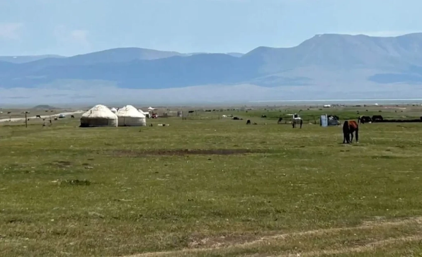 В КР планируют пилотно внедрить концепцию управления пастбищами на примере Нарынской области