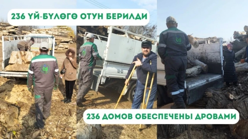 Мэрия Бишкека обеспечила 236 семей дровами