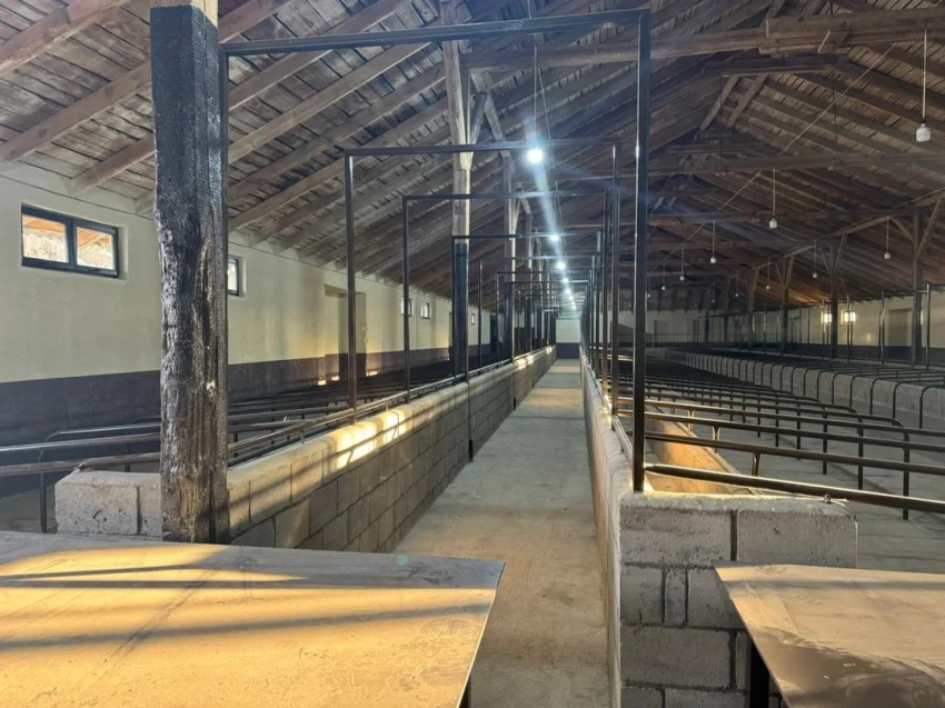 В Ак-Талинском районе открыли современный комплекс по откорму и убою скота