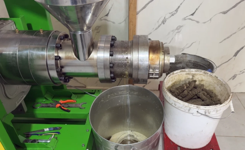 В Ак-Талинском районе обновили оборудование для увеличения производства сафлорового масла