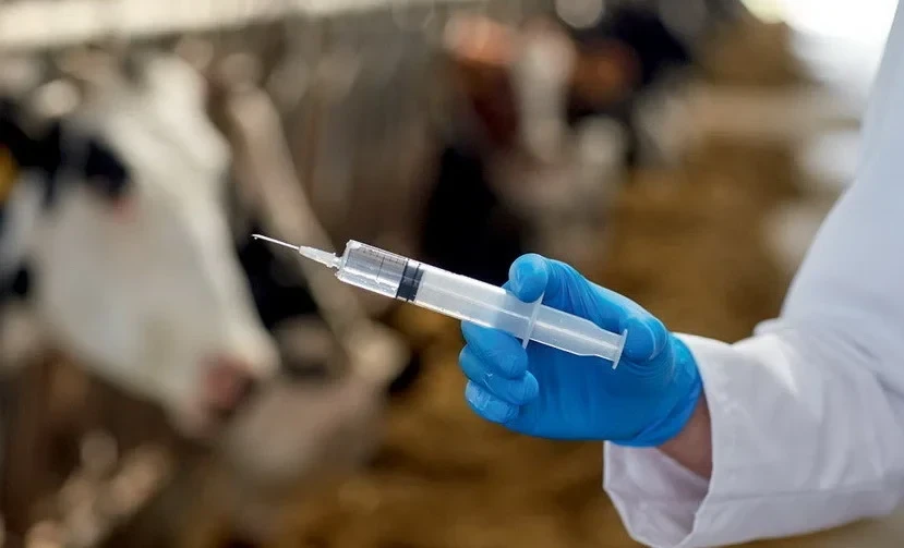 В 2025 году ветмероприятия охватили более 25 млн голов животных