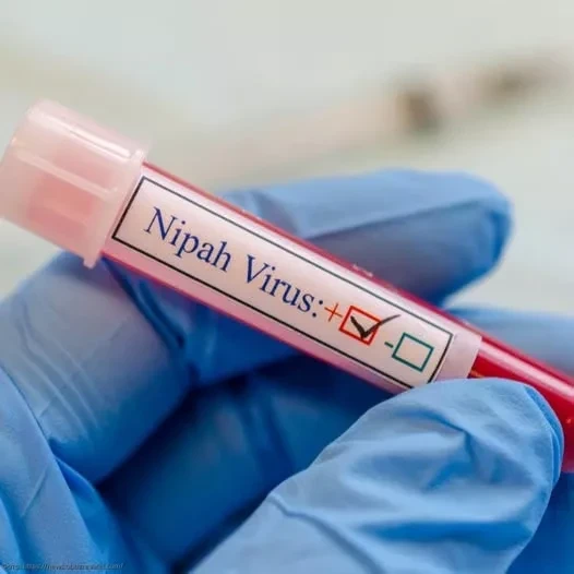 ВОЗ предупреждает о возможном дальнейшем распространении вируса Нипах