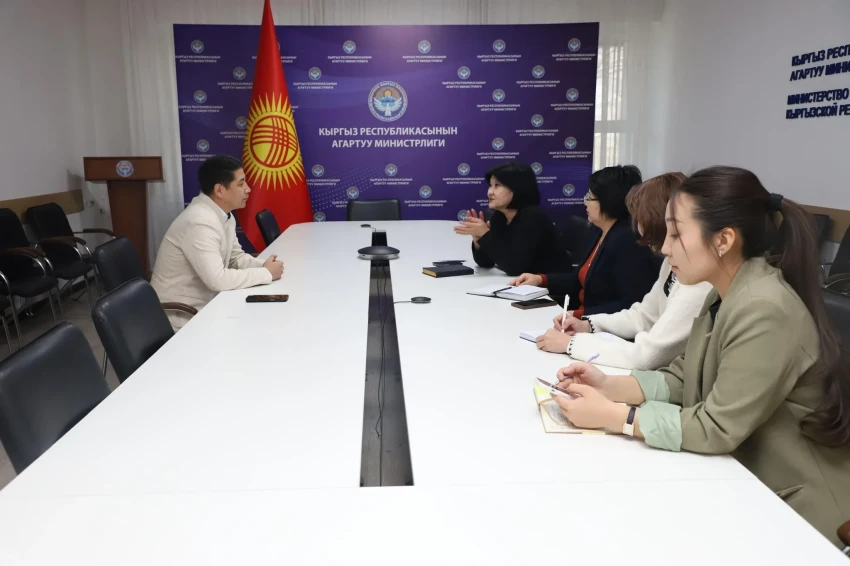 Современный контент для детсадов. Минпросвещения и D Billions наметили сотрудничество