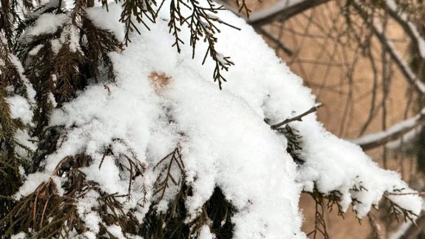 Резкое похолодание ожидается в Узбекистане с четверга по субботу