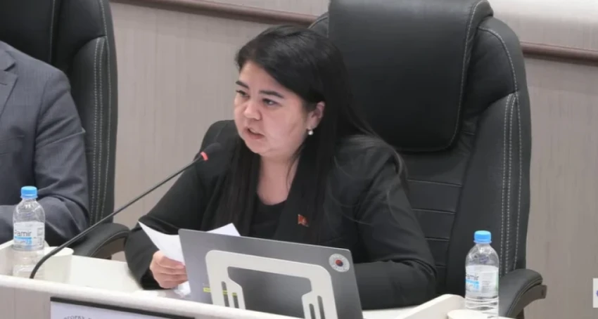 В Жогорку Кенеше предлагают создать государственный фонд для помощи больным