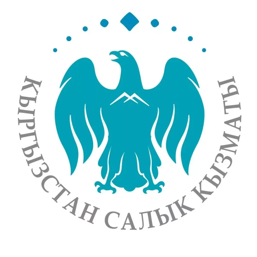 Налоговая служба Кыргызстана временно приостановила рейдовые проверки и контрольный закуп среди малого и среднего бизнеса