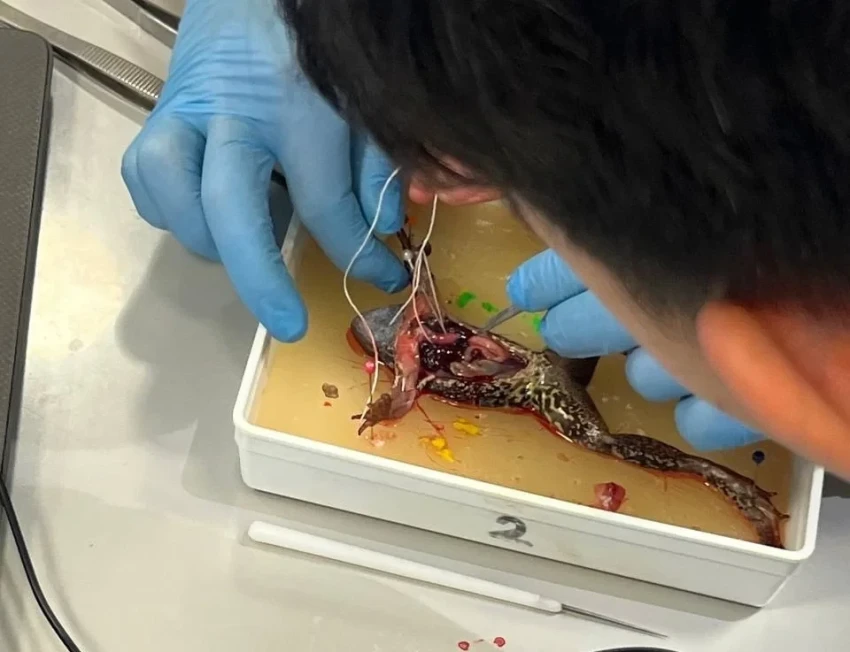 Сборная Кыргызстана по биологии приняла участие в учебном лагере в Сочи