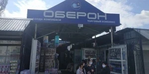 Попрошайки с детьми на Орто-Сае: Читательница требует реакции МВД