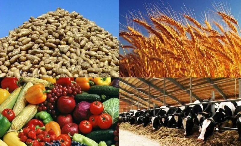 Из бюджета в 2026 году в сельское хозяйство будет направлено 41 млрд сомов - Торобаев