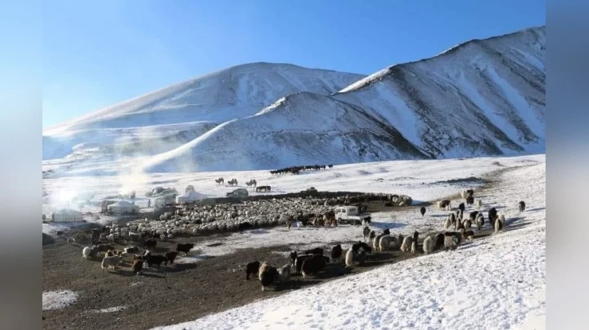 По сравнению с предыдущими десятью днями снежный покров в Монголии уменьшился на 14%