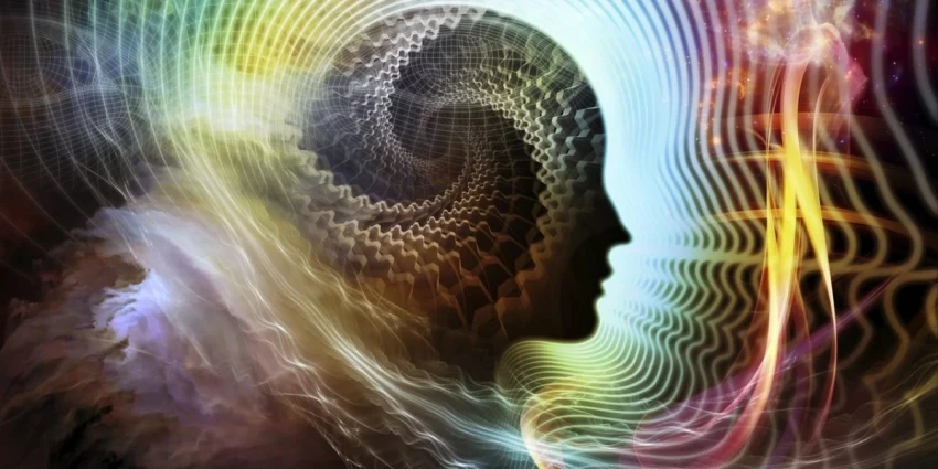 Источник сознания, возможно, находится не в мозге, а в каждой клетке