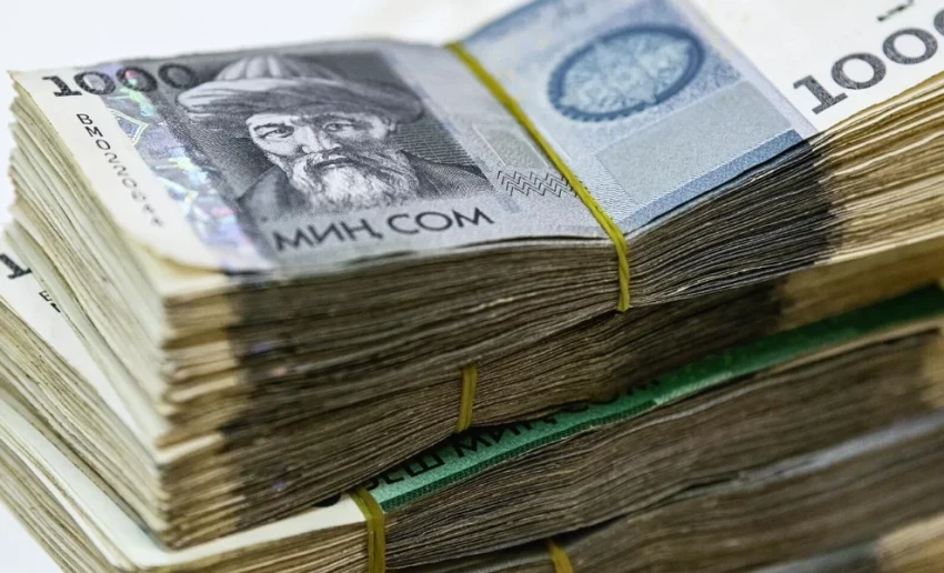 В Жогорку Кенеше предложили механизм защиты зарплат от инфляции