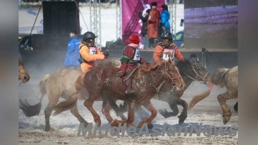 Депутат парламента предупреждает, что 46 детей погибли от травм головного мозга после падения с лошадей