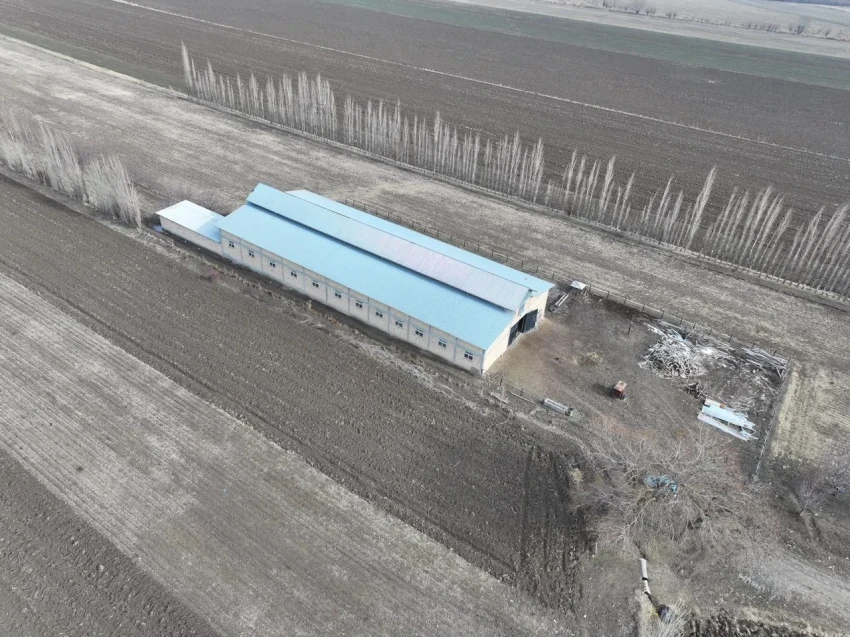 Государству возвращен участок, принадлежащий члену ОПГ К.Досонову