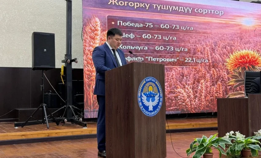 В Чуйской области запланированы посевные работы на почти 419 тысячах га земли