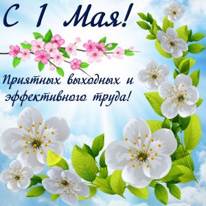Красивые поздравления с 1 мая для хорошего настроения