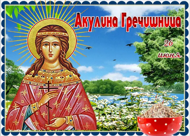 Праздник Акулина Гречишница 26 июня 2024 года: приметы, традиции, обряды