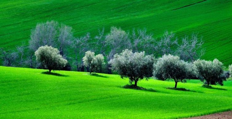 29 апреля отмечается народный праздник Арина – урви берега